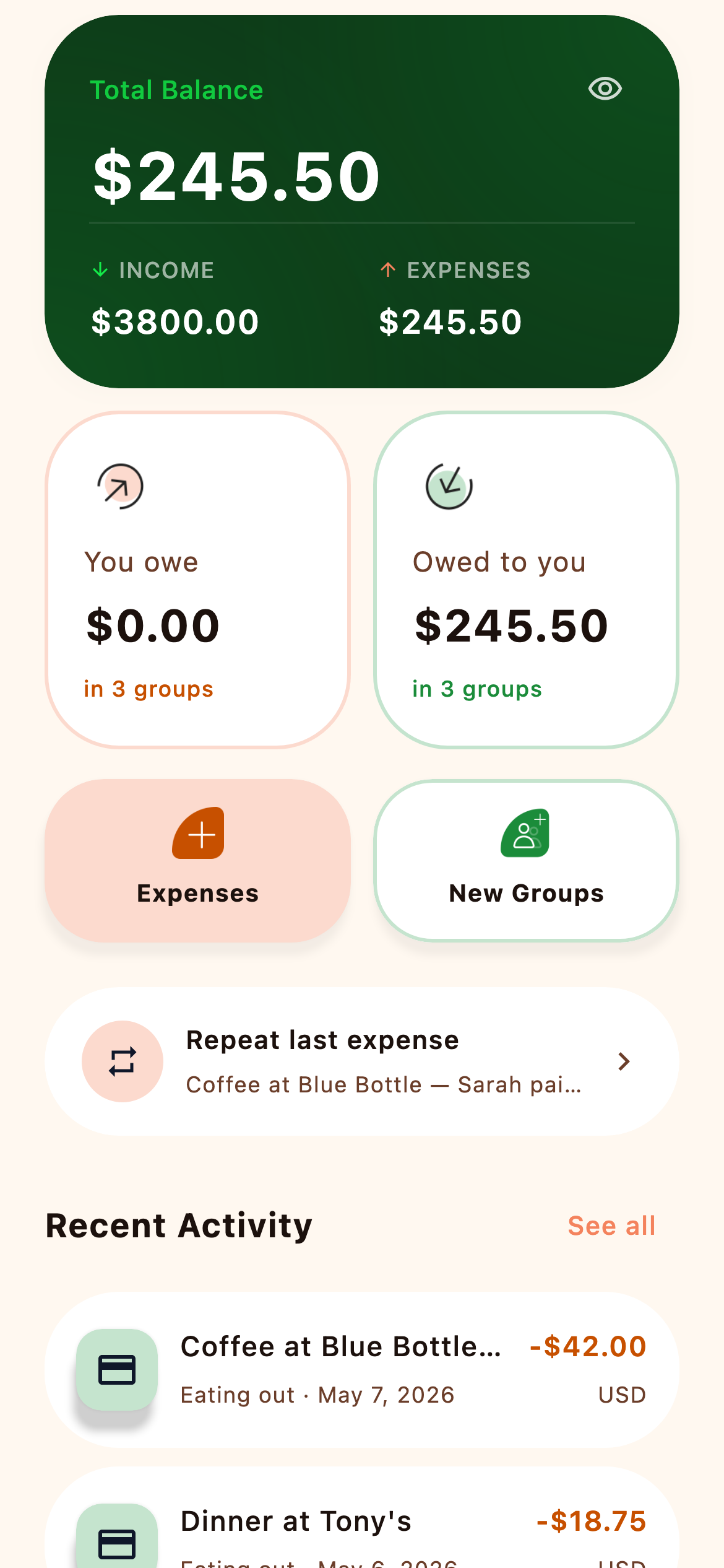 Dashboard showing balance of +$245.50 with recent activity